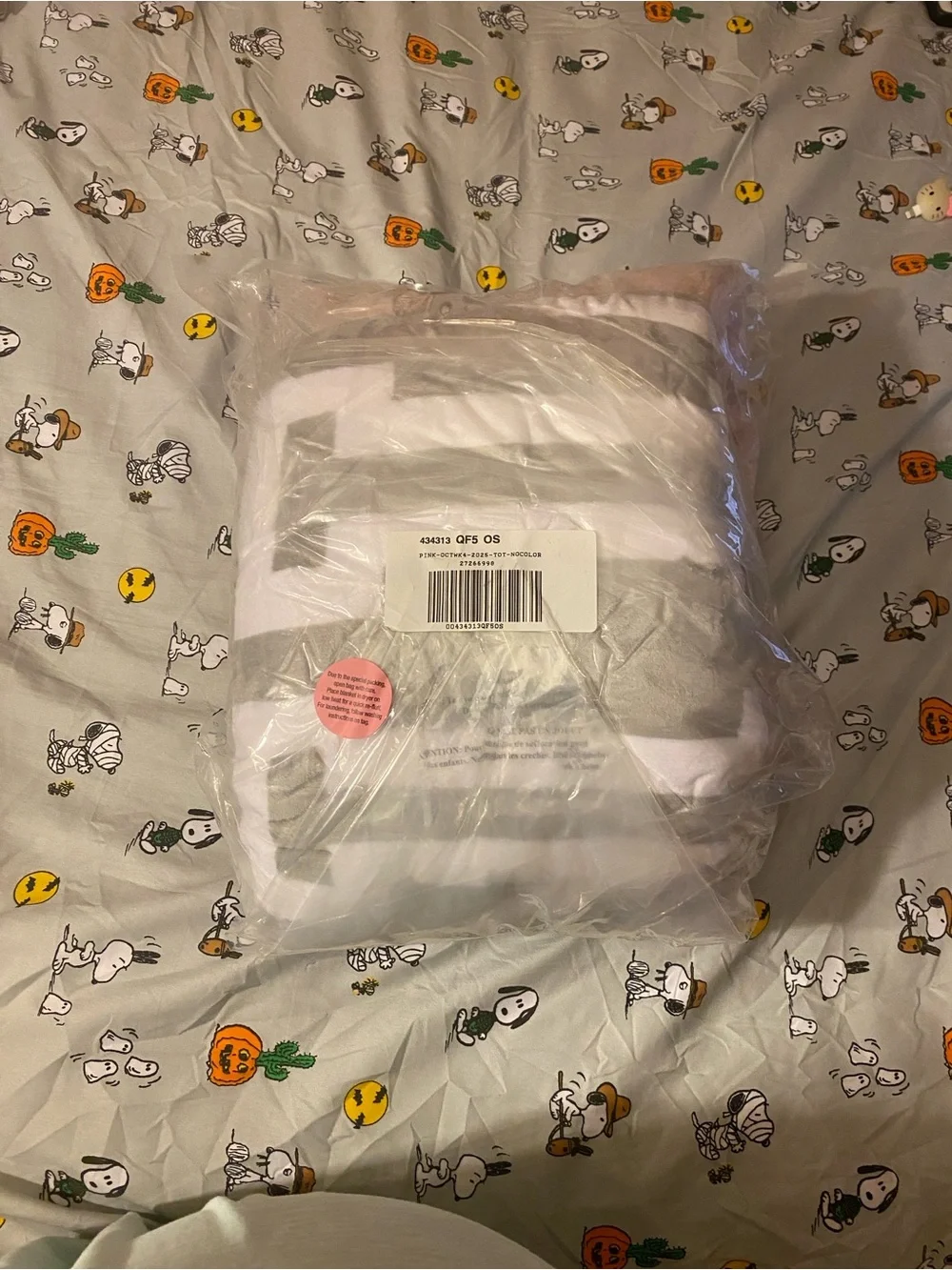 New Victoria’s Secret Pink Tote Bag and Blanket